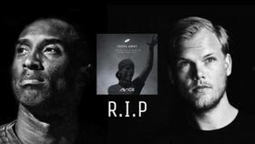 教学视频观后感,启迪智慧，引领成长