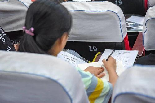 夏津一中杀人视频