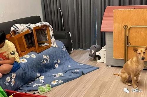 吹竖笛子视频,跟随视频学习吹竖笛的入门指南