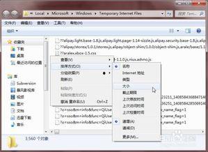 视频缓存浏览器